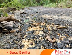 Abaikan UU Tentang KIP ! Proyek Pengaspalan Bersumber Dari DD TA 2023 Desa Torjun Rendah, Dalam Hitungan Jari Sudah Rusak