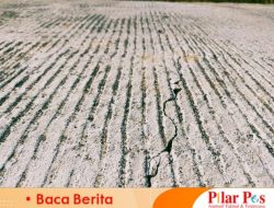 Bersumber Dari DD TA 2023, Proyek Rabat Beton di Desa Pangelen Sudah Alami Kerusakan