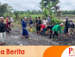 Al Fatih Indonesia, Perbaiki jalan di Desa Lombok Kulon Dengan Biaya Swadaya