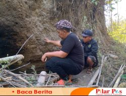 STMJ Bantu Nenek Yang Hidup Dibawah Batu Di Desa Terpencil