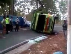 Truck Bermuatan Pecah Belah,Guling di Jambe Wungu Kecamatan Wringin