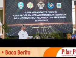 Kedatangan BPK-RI, Bupati Situbondo Pamer Padi BK 01 dan BK02 ,Kementan Sebut  Akan Beli Produksi Bibit