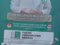 Profil Sosok  GINA Belanza Mulia, S.H Wanita Asal Gebang Kecamatan Tenggarang, Mengikuti Ajang Kontestasi Pileg DPRD Kabupaten Bondowoso Dari Partai Kebangkitan Bangsa