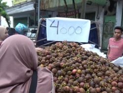 Buah Manggis Cukup Melimpah di Bondowoso Karena Panen Raya Dari Pulau Dewata Bali