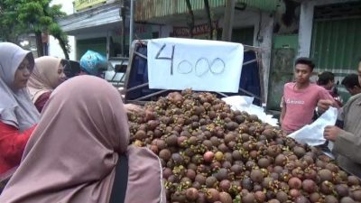 Buah Manggis Cukup Melimpah di Bondowoso Karena Panen Raya Dari Pulau Dewata Bali