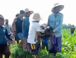 Seorang Petani Tembakau Ditemukan Meninggal Tenggelam di Penempungan Air