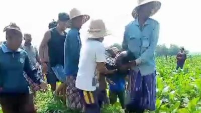 Seorang Petani Tembakau Ditemukan Meninggal Tenggelam di Penempungan Air