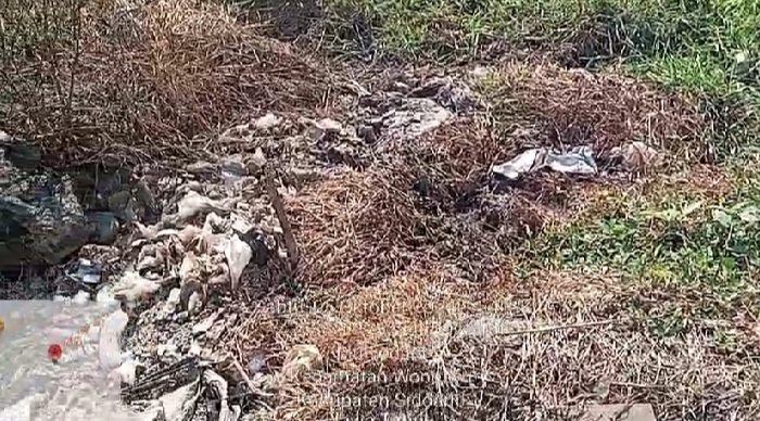 Gak Bahaya Ta..?? Usaha Pencucian Karung Plastik Yang Terkontaminasi B3, Asal Buang Limbah ke Saluran Irigasi Sawah Warga