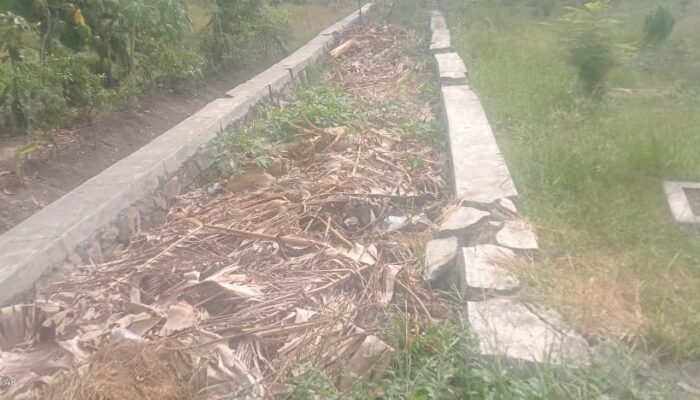 Kasun Gantang Desa Boboh Diduga Telah Melanggar Perda Kabupaten Gresik, Karena Tempat Tinggal Tak Menetap