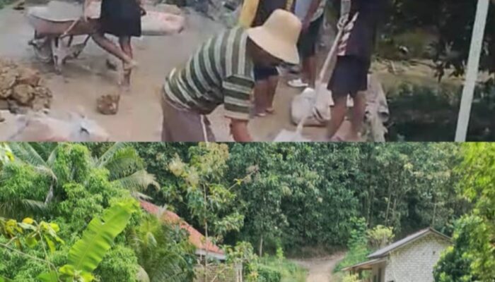 Jalan Batas Desa Sana Daya Waru Timur Ini Kembali Bagus Berkat Kekompakan Masyarakat